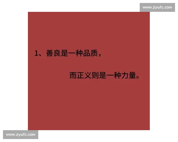 黑即正义:晒出来的人生哲学 黑即正义:晒出来的人生哲学